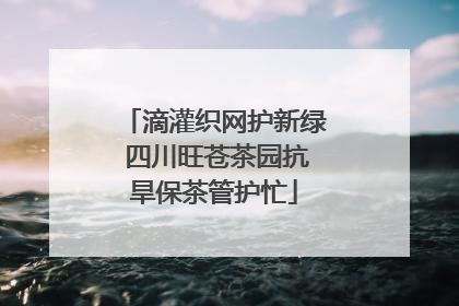 滴灌织网护新绿 四川旺苍茶园抗旱保茶管护忙