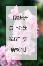 滁州开展“公款私存”专项整治