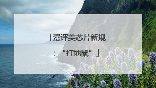 漫评美芯片新规：“打地鼠”