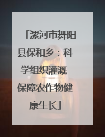 漯河市舞阳县保和乡：科学组织灌溉 保障农作物健康生长