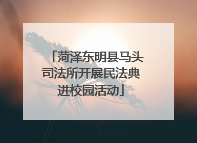 菏泽东明县马头司法所开展民法典进校园活动