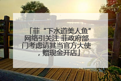 菲“下水道美人鱼”网络引关注 菲政府部门考虑请其当官方大使，赠现金开店