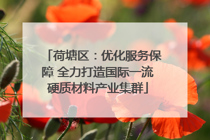 荷塘区：优化服务保障 全力打造国际一流硬质材料产业集群