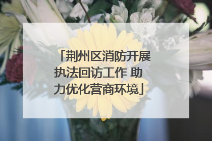 荆州区消防开展执法回访工作 助力优化营商环境