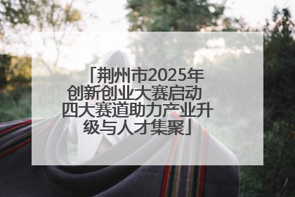 荆州市2025年创新创业大赛启动 四大赛道助力产业升级与人才集聚