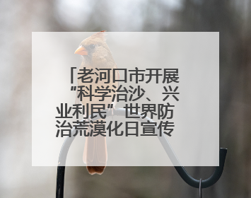 老河口市开展“科学治沙、兴业利民”世界防治荒漠化日宣传活动