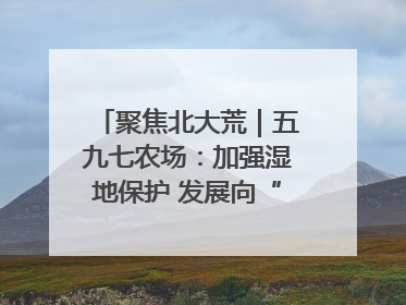 聚焦北大荒｜五九七农场：加强湿地保护 发展向“绿”而行