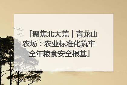 聚焦北大荒｜青龙山农场：农业标准化筑牢全年粮食安全根基