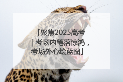 聚焦2025高考｜考场内笔落惊鸿，考场外心绘蓝图
