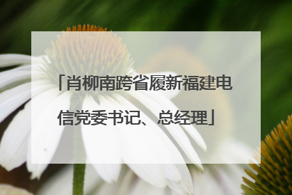 肖柳南跨省履新福建电信党委书记、总经理