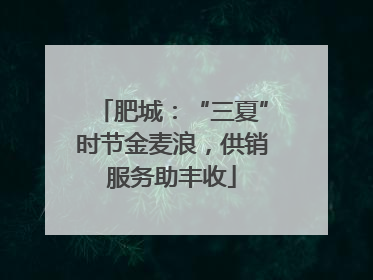 肥城：“三夏”时节金麦浪，供销服务助丰收