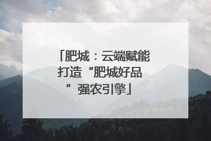 肥城：云端赋能 打造“肥城好品”强农引擎