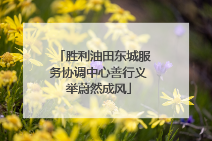 胜利油田东城服务协调中心善行义举蔚然成风