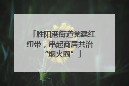 胜阳港街道党建红纽带，串起商居共治 “烟火圈”