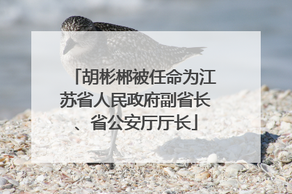 胡彬郴被任命为江苏省人民政府副省长、省公安厅厅长