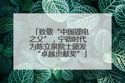 致敬“中国锂电之父”，宁德时代为陈立泉院士颁发“卓越贡献奖”