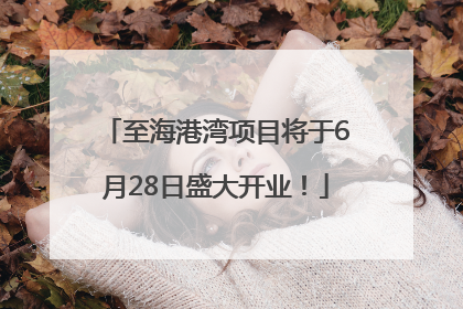 至海港湾项目将于6月28日盛大开业！