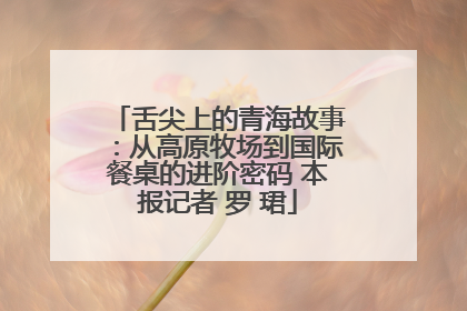 舌尖上的青海故事：从高原牧场到国际餐桌的进阶密码 本报记者 罗 珺