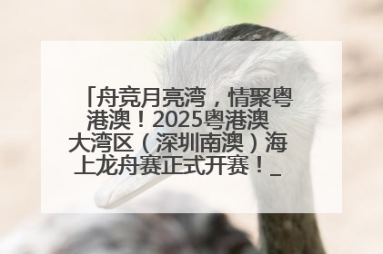 舟竞月亮湾，情聚粤港澳！2025粤港澳大湾区（深圳南澳）海上龙舟赛正式开赛！_深圳新闻网