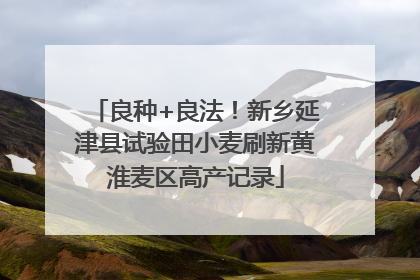 良种+良法！新乡延津县试验田小麦刷新黄淮麦区高产记录