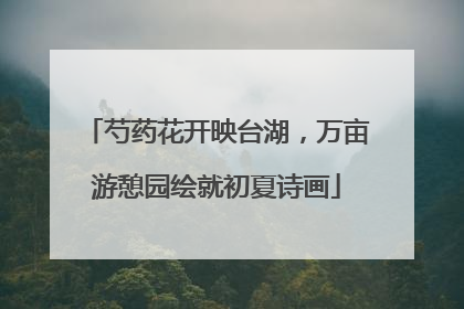 芍药花开映台湖，万亩游憩园绘就初夏诗画
