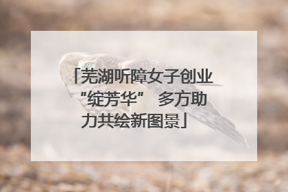 芜湖听障女子创业“绽芳华” 多方助力共绘新图景