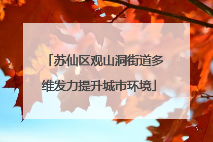 苏仙区观山洞街道多维发力提升城市环境