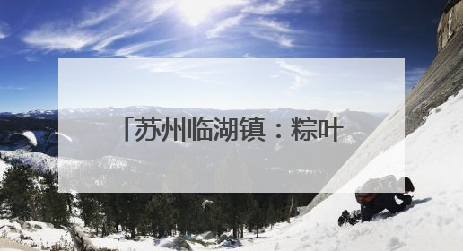 苏州临湖镇：粽叶飘香传文明 村村有“戏”树新风