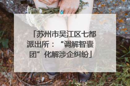 苏州市吴江区七都派出所：“调解智囊团”化解涉企纠纷