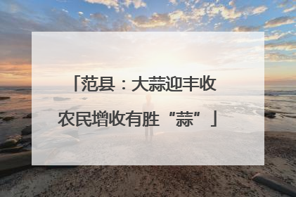 范县：大蒜迎丰收 农民增收有胜“蒜”