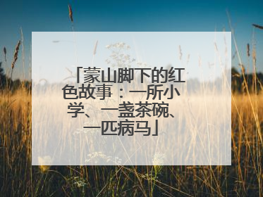 蒙山脚下的红色故事：一所小学、一盏茶碗、一匹病马