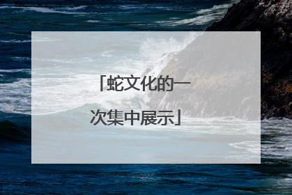 蛇文化的一次集中展示