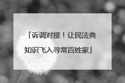 诉调对接！让民法典知识飞入寻常百姓家