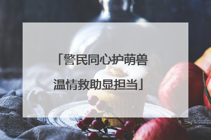 警民同心护萌兽 温情救助显担当