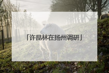 许昆林在扬州调研