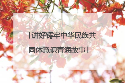 讲好铸牢中华民族共同体意识青海故事
