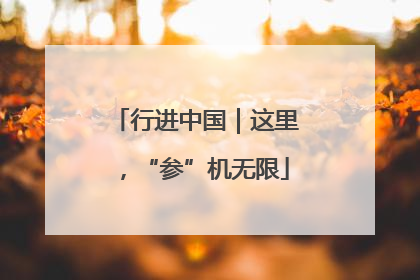 行进中国｜这里，“参”机无限