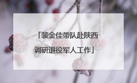 裴金佳带队赴陕西调研退役军人工作