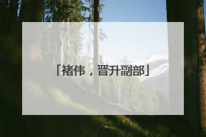 褚伟，晋升副部