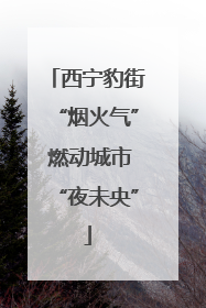 西宁豹街“烟火气” 燃动城市“夜未央”