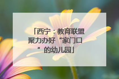 西宁：教育联盟聚力办好“家门口”的幼儿园