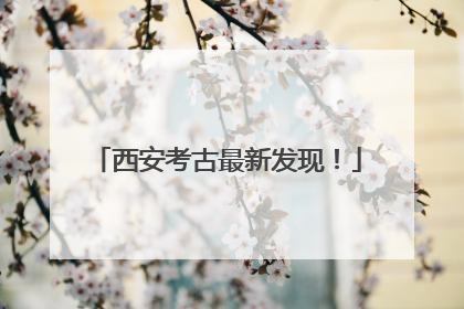 西安考古最新发现！