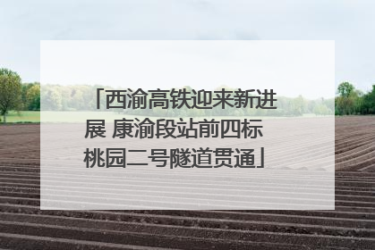西渝高铁迎来新进展 康渝段站前四标桃园二号隧道贯通