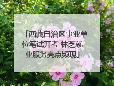西藏自治区事业单位笔试开考 林芝就业服务亮点频现