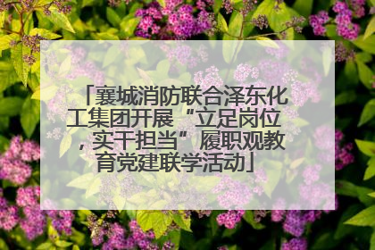 襄城消防联合泽东化工集团开展“立足岗位，实干担当”履职观教育党建联学活动