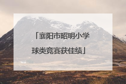 襄阳市昭明小学球类竞赛获佳绩