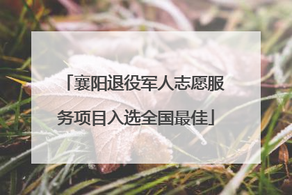 襄阳退役军人志愿服务项目入选全国最佳