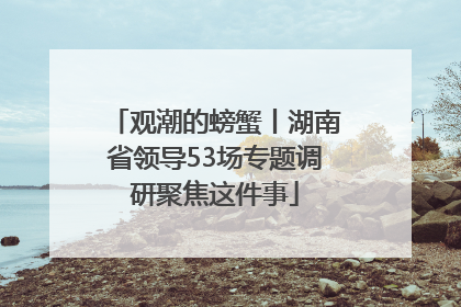 观潮的螃蟹丨湖南省领导53场专题调研聚焦这件事