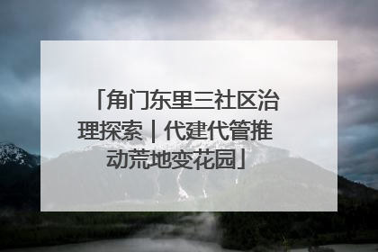 角门东里三社区治理探索｜代建代管推动荒地变花园