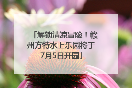 解锁清凉冒险！赣州方特水上乐园将于7月5日开园
